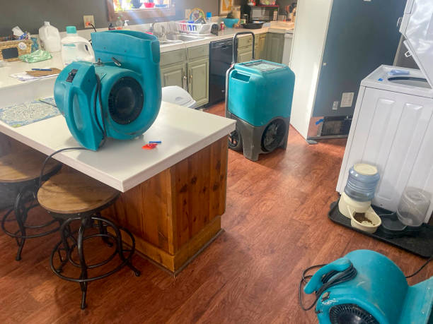 Best Local water damage restoration  in Cnelius, OR