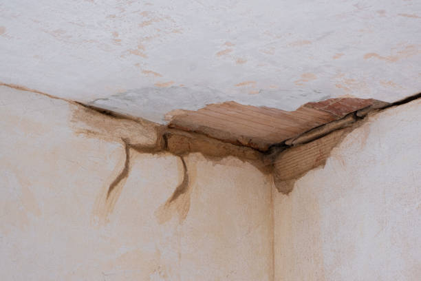 Best 24-hour water damage restoration  in Cnelius, OR