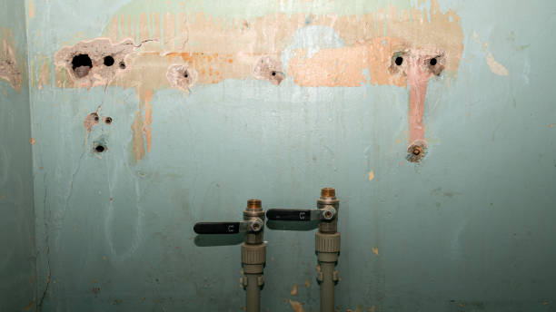 Best Water damage contractors near me  in Cnelius, OR